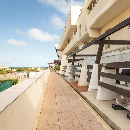 Shanel Port Nature Coursive *