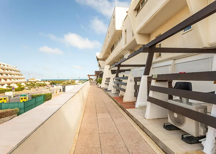 Shanel Port Nature Coursive *